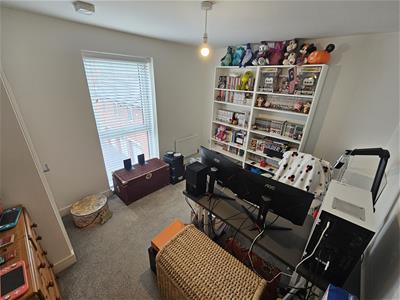 Picture 13
